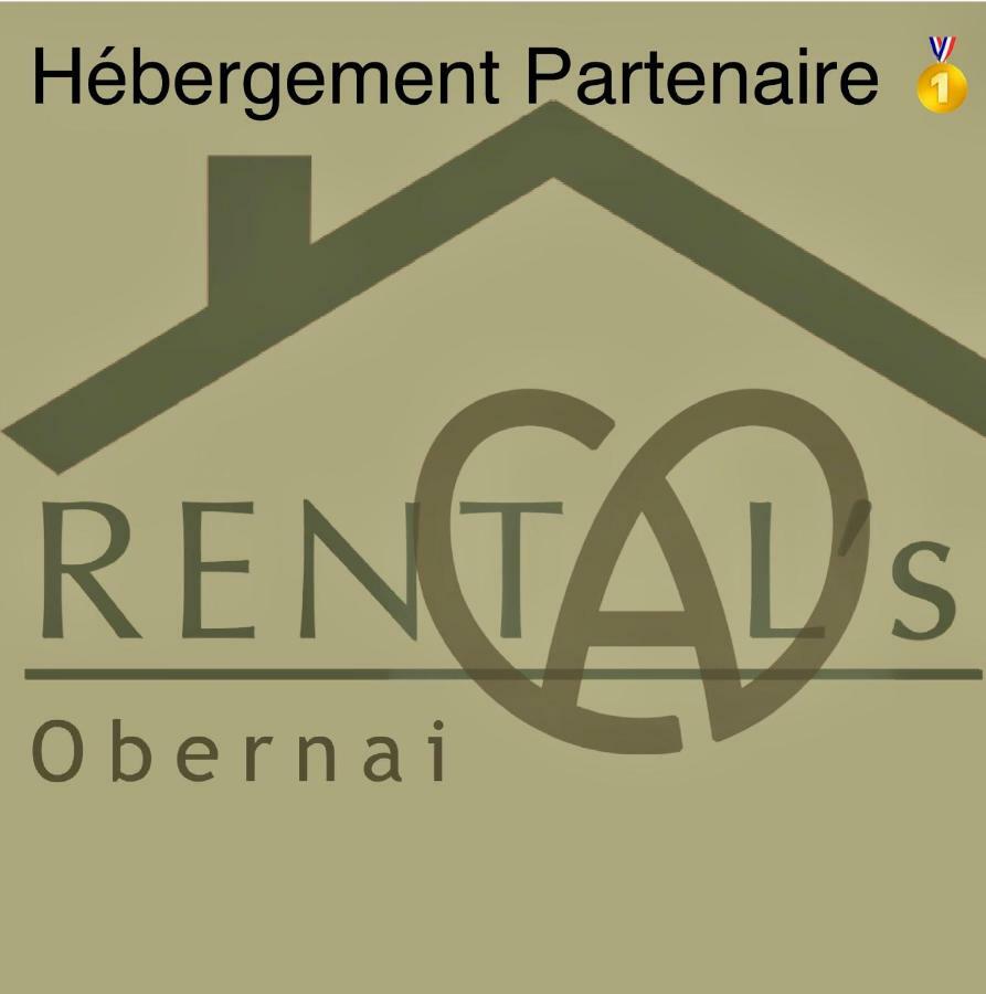 Le Relais D Obernai Apartment Ngoại thất bức ảnh
